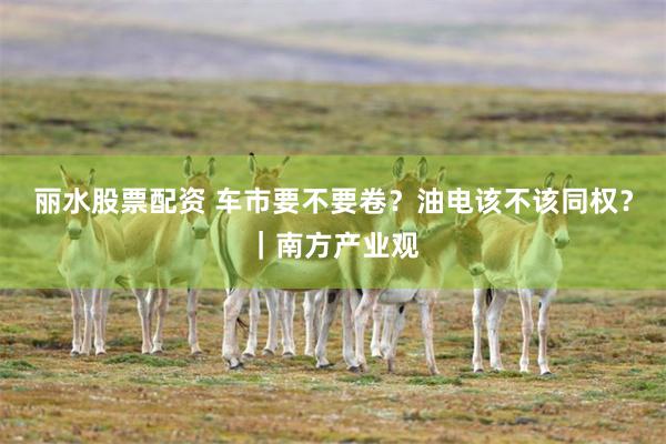 丽水股票配资 车市要不要卷？油电该不该同权？｜南方产业观