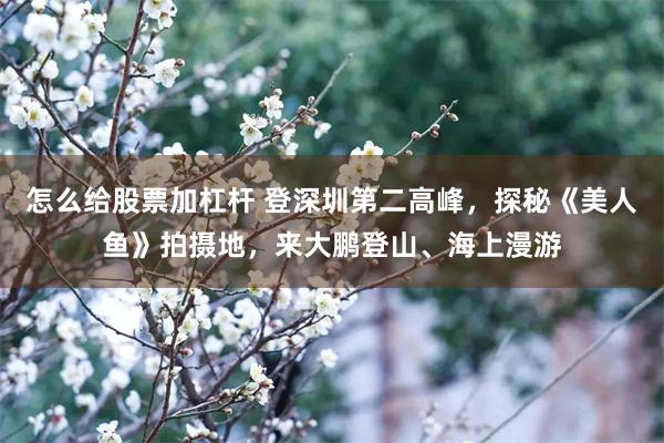 怎么给股票加杠杆 登深圳第二高峰，探秘《美人鱼》拍摄地，来大鹏登山、海上漫游