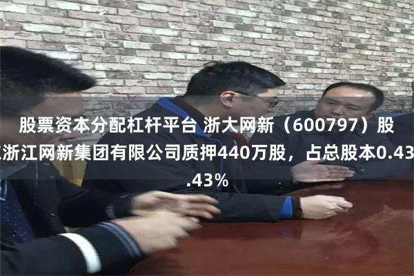 股票资本分配杠杆平台 浙大网新（600797）股东浙江网新集团有限公司质押440万股，占总股本0.43%