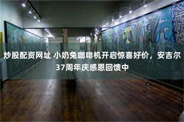 炒股配资网址 小奶兔咖啡机开启惊喜好价，安吉尔37周年庆感恩回馈中