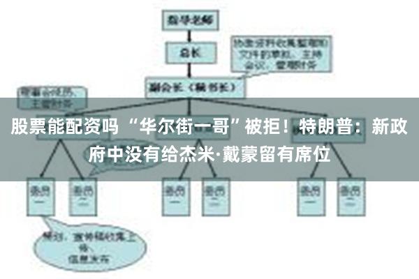 股票能配资吗 “华尔街一哥”被拒！特朗普：新政府中没有给杰米·戴蒙留有席位