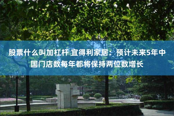 股票什么叫加杠杆 宜得利家居：预计未来5年中国门店数每年都将保持两位数增长