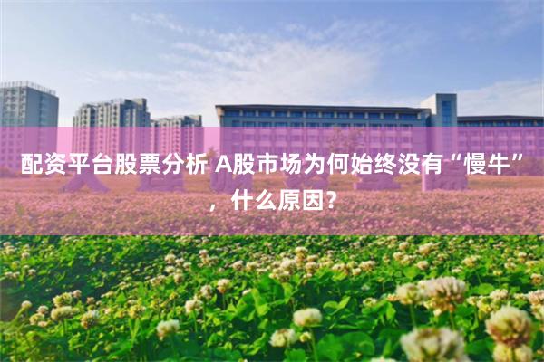 配资平台股票分析 A股市场为何始终没有“慢牛”，什么原因？