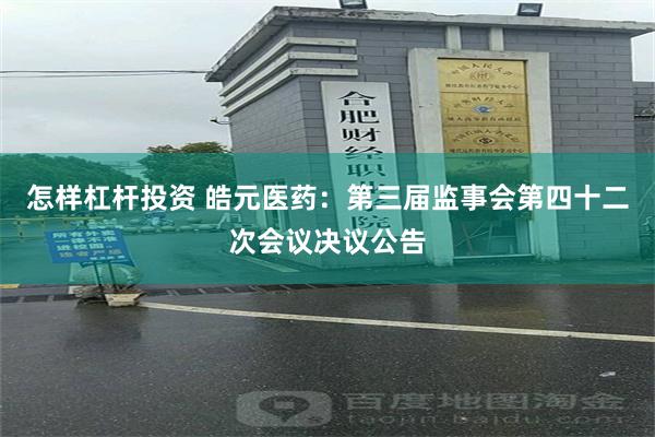 怎样杠杆投资 皓元医药：第三届监事会第四十二次会议决议公告