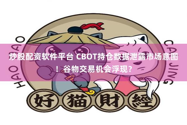 炒股配资软件平台 CBOT持仓数据泄露市场意图！谷物交易机会浮现？