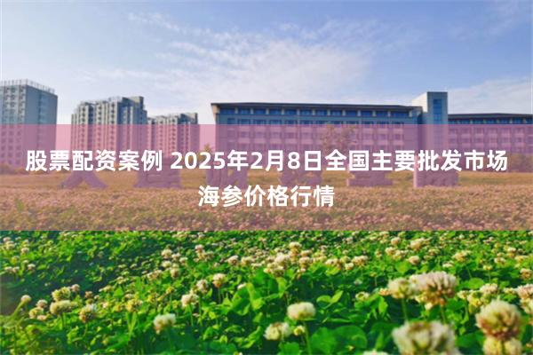 股票配资案例 2025年2月8日全国主要批发市场海参价格行情