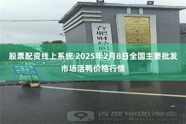 股票配资线上系统 2025年2月8日全国主要批发市场活鸭价格行情